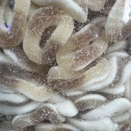 Cola rings